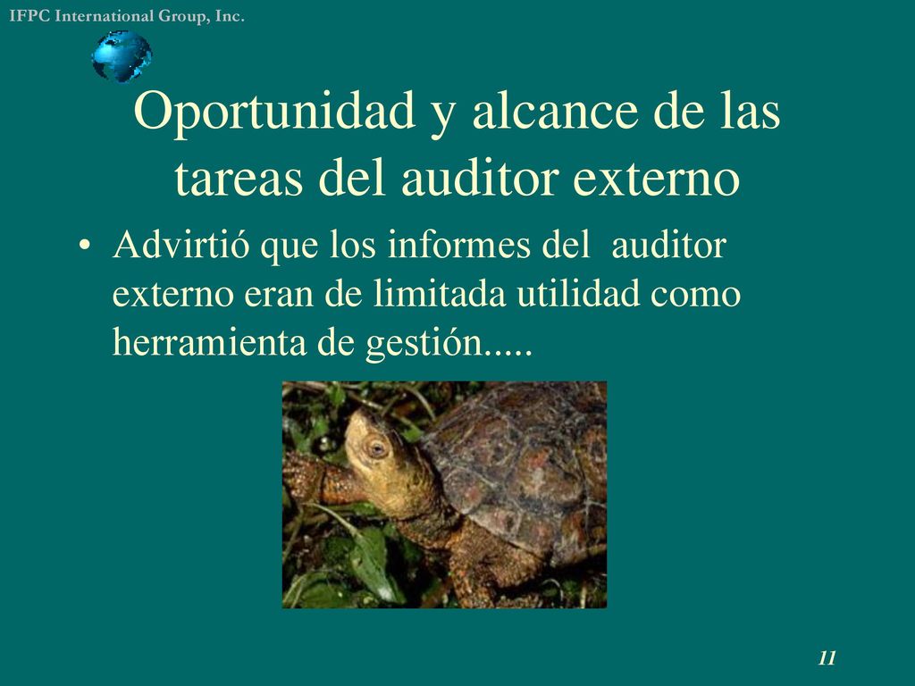 Oportunidad y alcance de las tareas del auditor externo