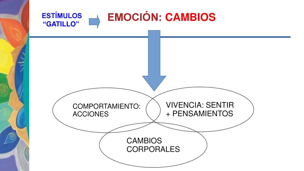 EMOCIÓN: CAMBIOS VIVENCIA: SENTIR + PENSAMIENTOS CAMBIOS CORPORALES