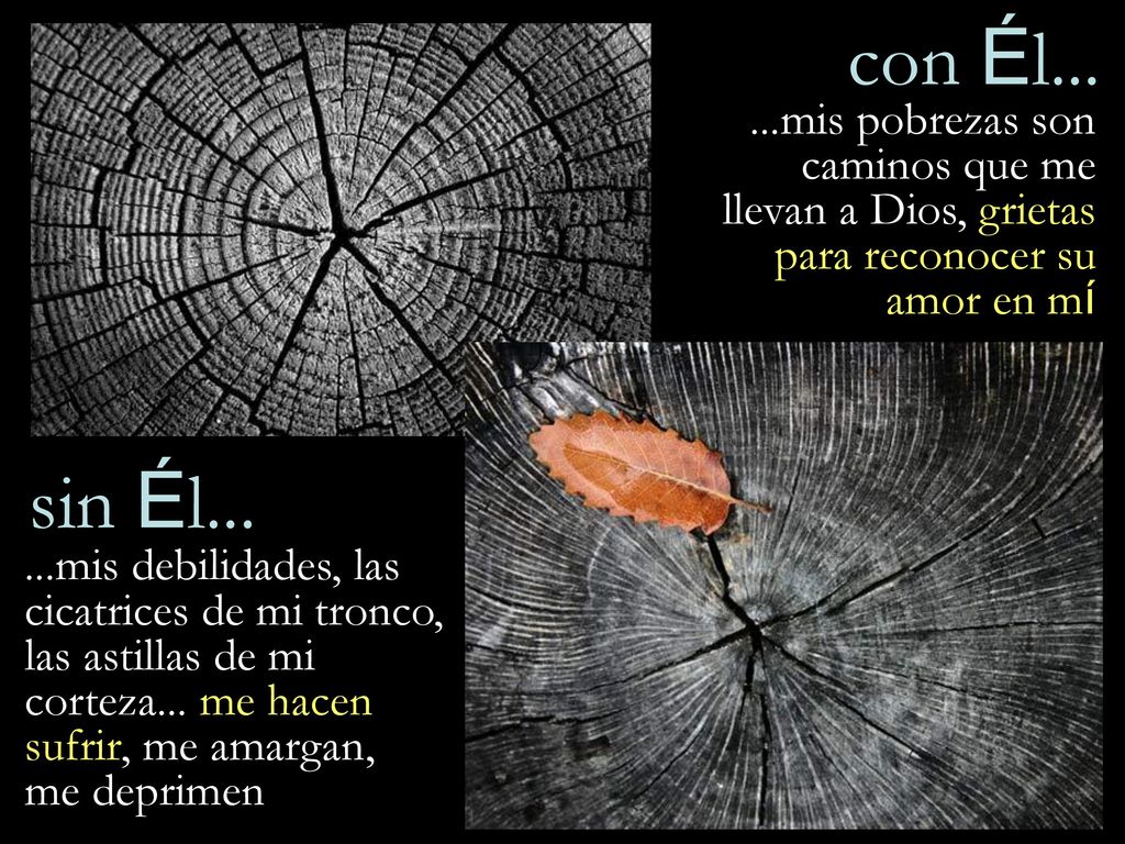 con Él mis pobrezas son caminos que me llevan a Dios, grietas para reconocer su amor en mí. sin Él...