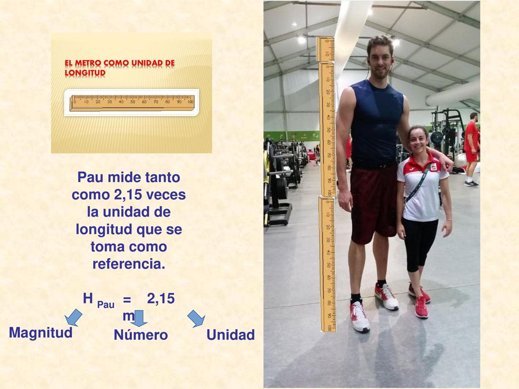 Pau mide tanto como 2,15 veces la unidad de longitud que se toma como referencia.