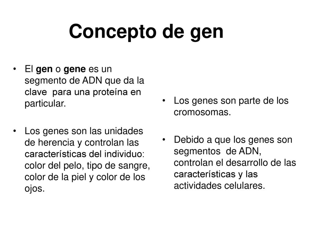 Concepto de gen El gen o gene es un segmento de ADN que da la clave para una proteína en particular.
