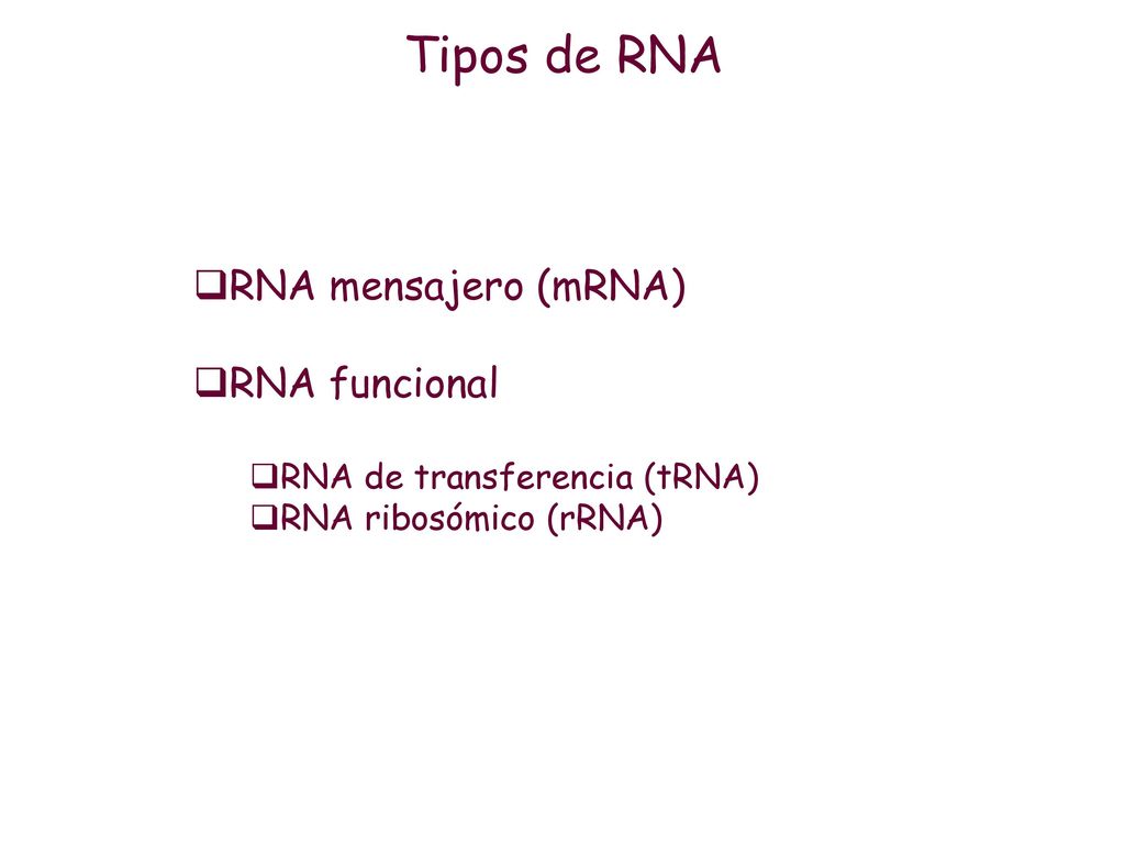 Tipos de RNA RNA mensajero (mRNA) RNA funcional