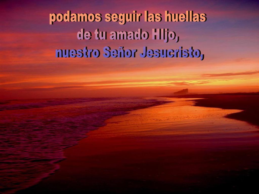podamos seguir las huellas de tu amado HIjo, nuestro Señor Jesucristo,