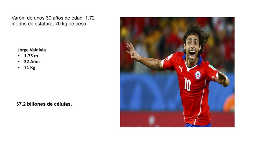 Varón, de unos 30 años de edad, 1,72 metros de estatura, 70 kg de peso.