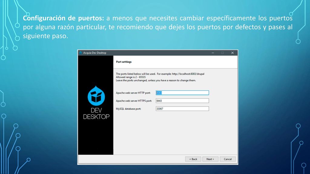 Configuración de puertos: a menos que necesites cambiar específicamente los puertos por alguna razón particular, te recomiendo que dejes los puertos por defectos y pases al siguiente paso.