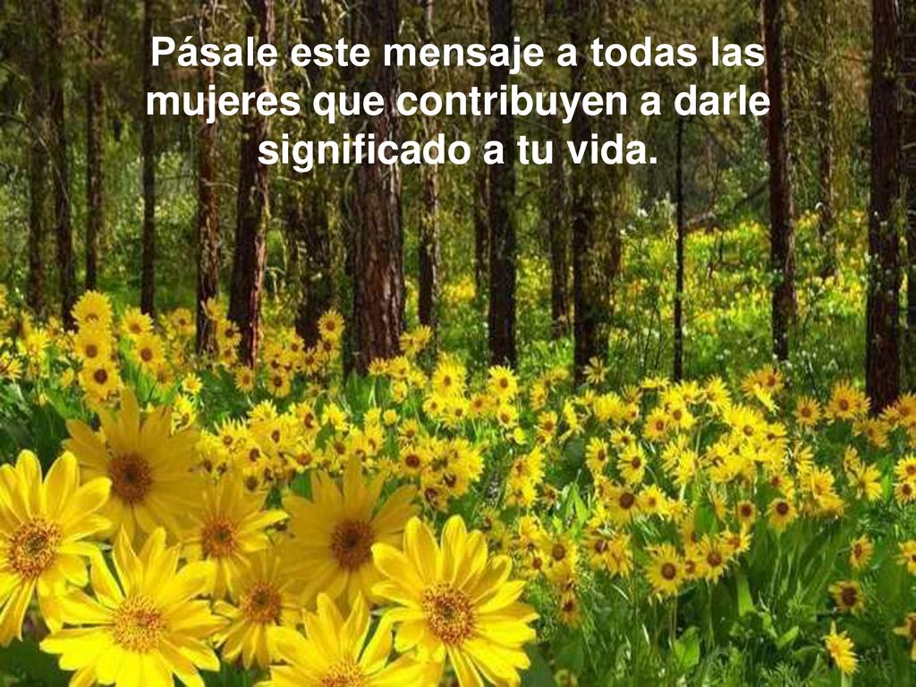 Pásale este mensaje a todas las mujeres que contribuyen a darle significado a tu vida.