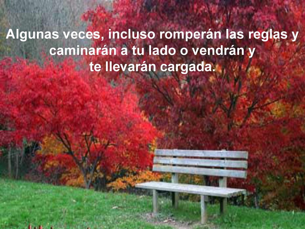 Algunas veces, incluso romperán las reglas y caminarán a tu lado o vendrán y te llevarán cargada.