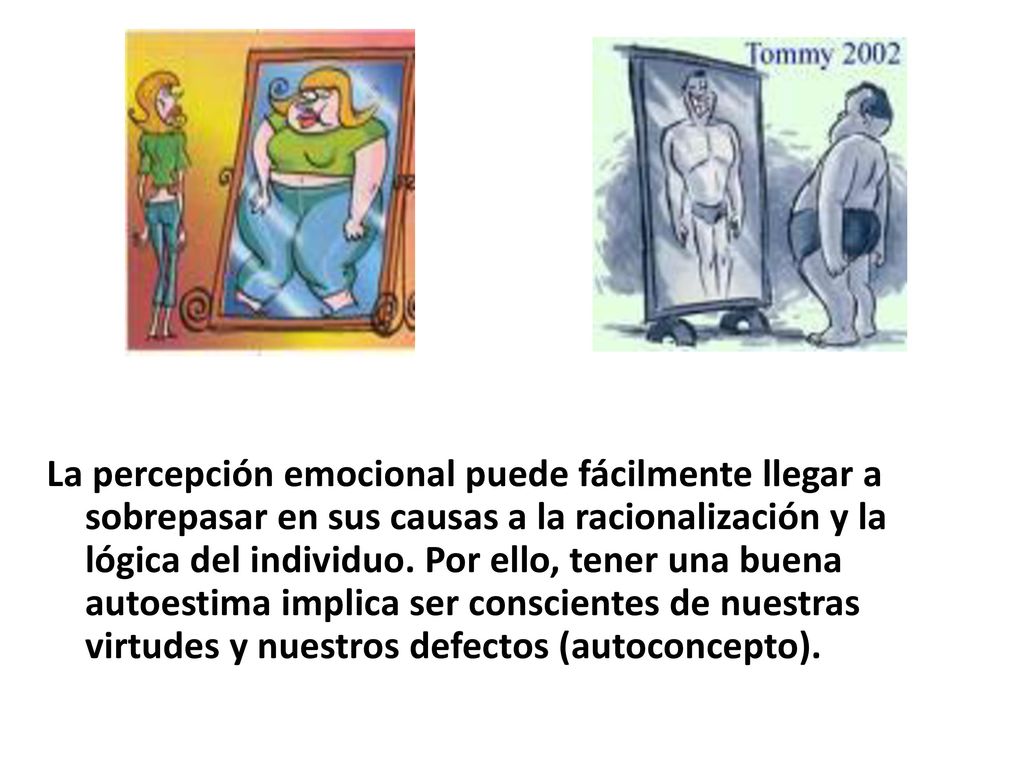 La percepción emocional puede fácilmente llegar a sobrepasar en sus causas a la racionalización y la lógica del individuo.