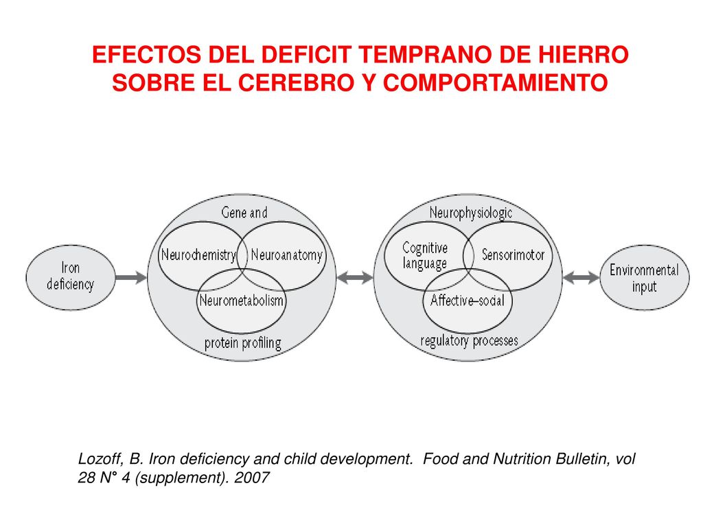 EFECTOS DEL DEFICIT TEMPRANO DE HIERRO SOBRE EL CEREBRO Y COMPORTAMIENTO