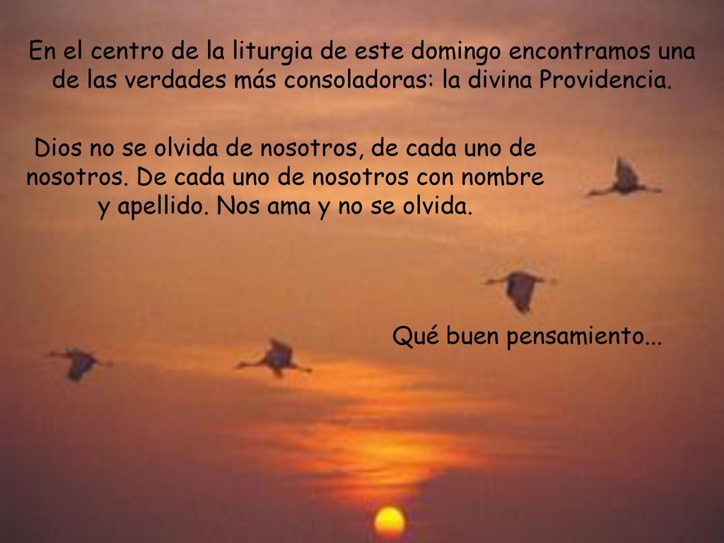 En el centro de la liturgia de este domingo encontramos una de las verdades más consoladoras: la divina Providencia.