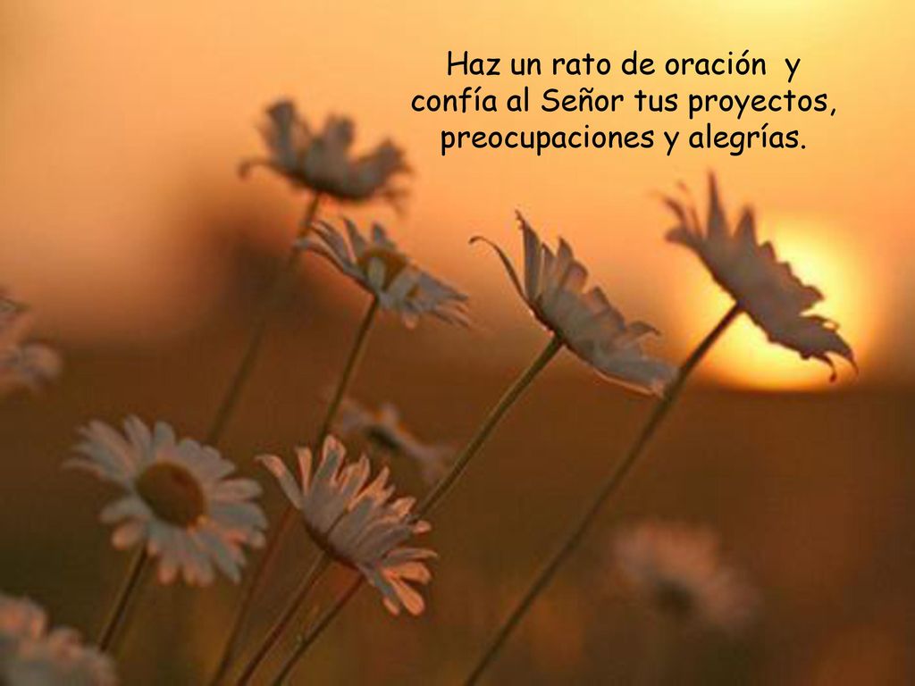 Haz un rato de oración y confía al Señor tus proyectos, preocupaciones y alegrías.