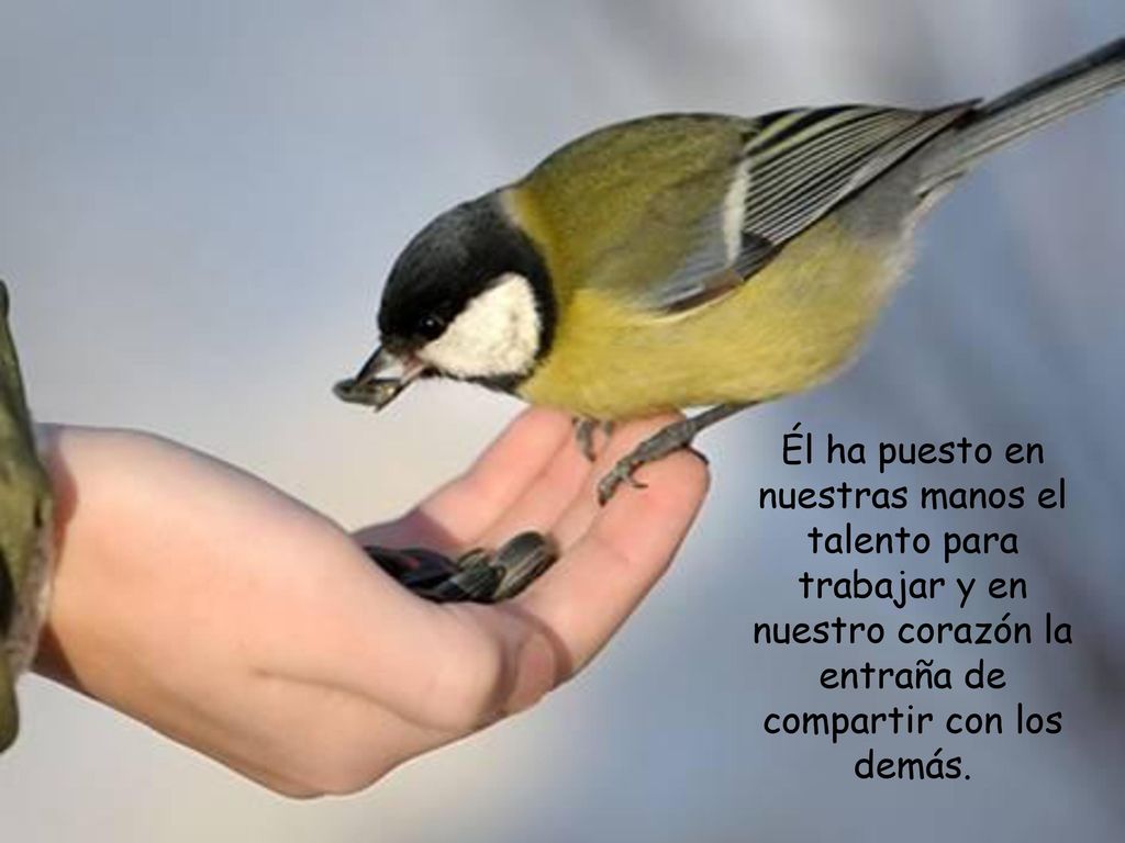 Él ha puesto en nuestras manos el talento para trabajar y en nuestro corazón la entraña de compartir con los demás.
