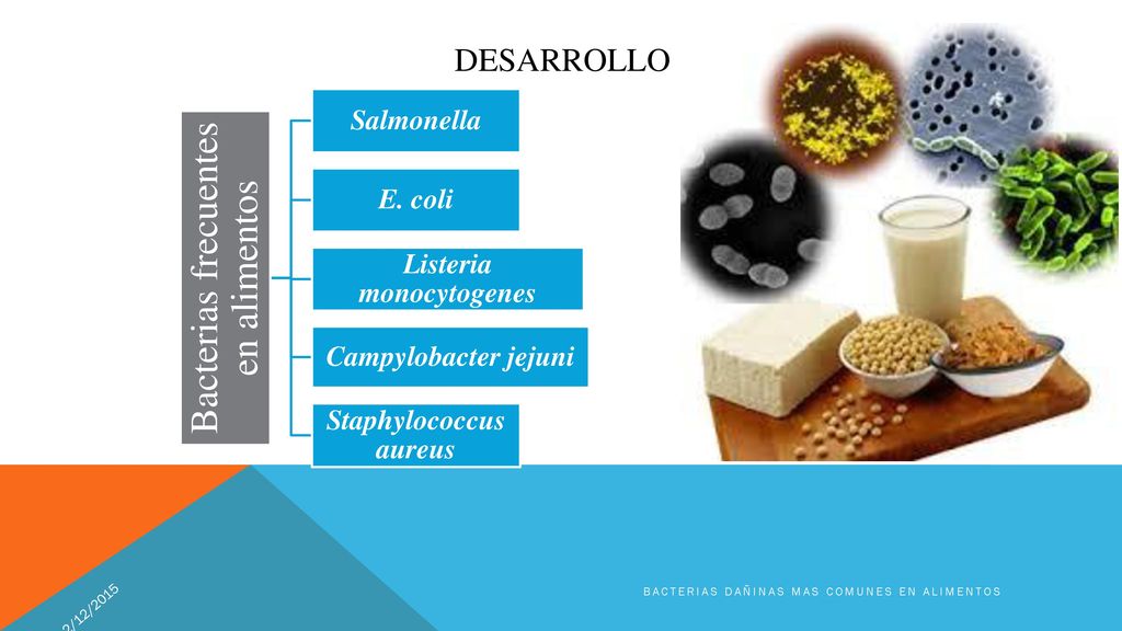 Listeria monocytogenes Staphylococcus aureus