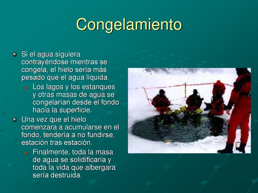Congelamiento Si el agua siguiera contrayéndose mientras se congela, el hielo sería más pesado que el agua líquida.