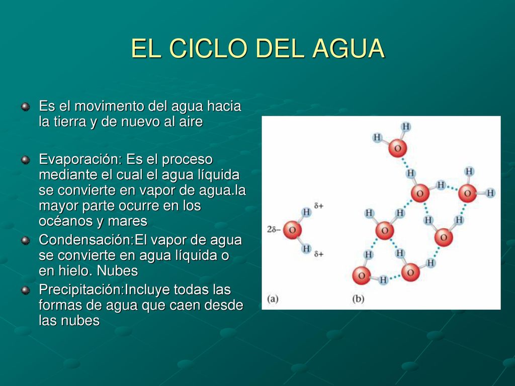 EL CICLO DEL AGUA Es el movimento del agua hacia la tierra y de nuevo al aire.
