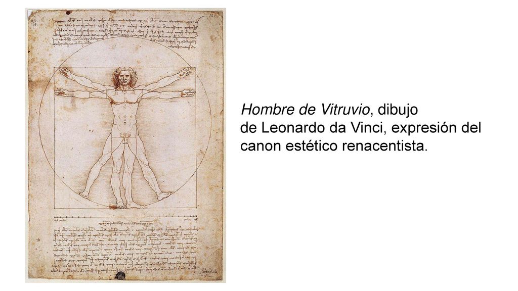 Hombre de Vitruvio, dibujo de Leonardo da Vinci, expresión del canon estético renacentista.