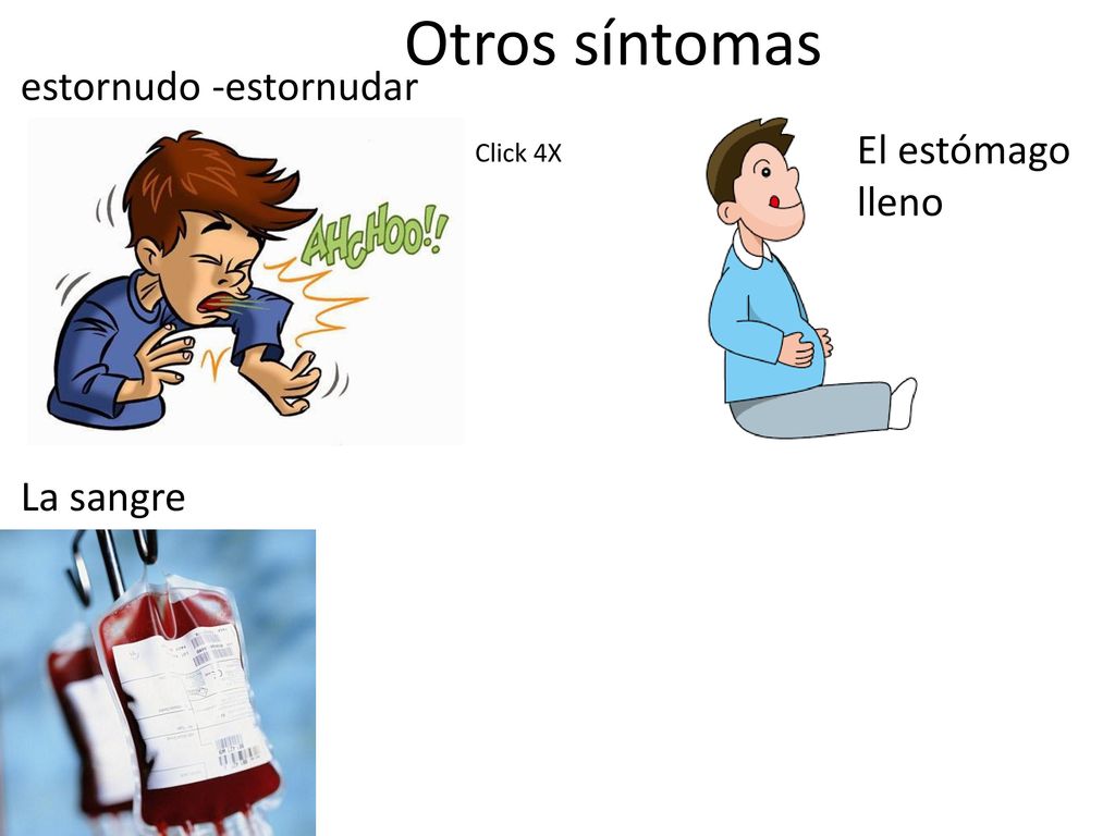 Otros síntomas estornudo -estornudar El estómago lleno La sangre