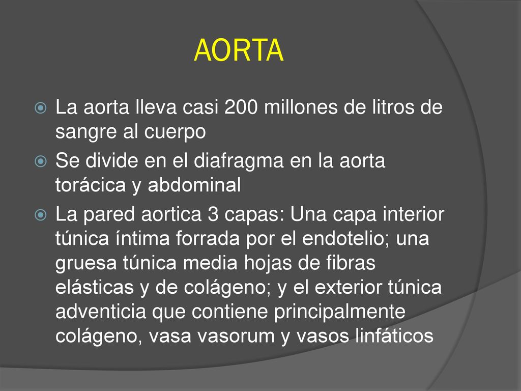 AORTA La aorta lleva casi 200 millones de litros de sangre al cuerpo