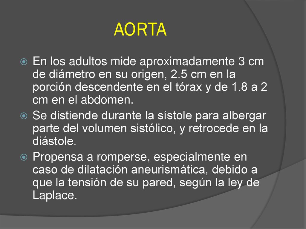 AORTA En los adultos mide aproximadamente 3 cm de diámetro en su origen, 2.5 cm en la porción descendente en el tórax y de 1.8 a 2 cm en el abdomen.