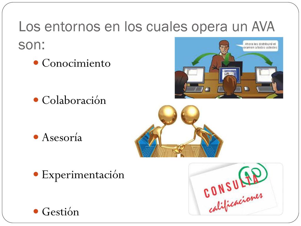 Los entornos en los cuales opera un AVA son: