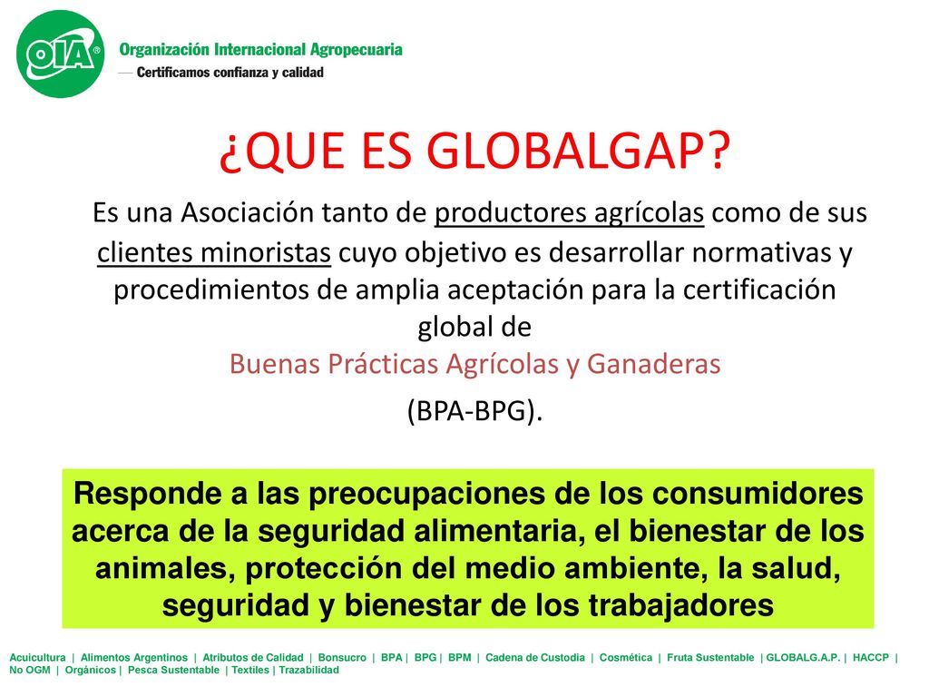 ¿QUE ES GLOBALGAP Es una Asociación tanto de productores agrícolas como de sus clientes minoristas cuyo objetivo es desarrollar normativas y procedimientos de amplia aceptación para la certificación global de Buenas Prácticas Agrícolas y Ganaderas (BPA-BPG).
