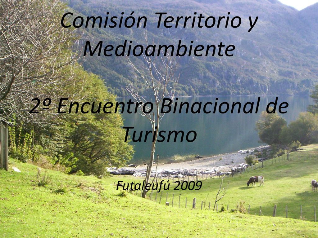 Comisión Territorio y Medioambiente 2º Encuentro Binacional de Turismo Futaleufú 2009