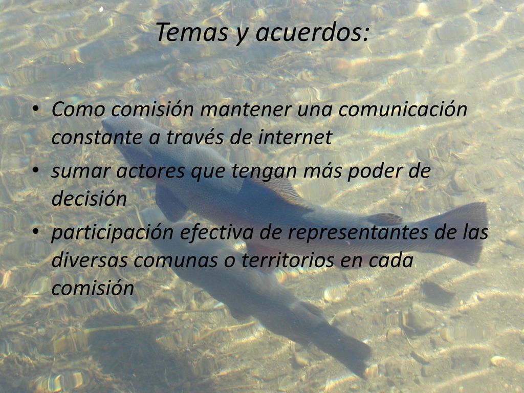 Temas y acuerdos: Como comisión mantener una comunicación constante a través de internet. sumar actores que tengan más poder de decisión.