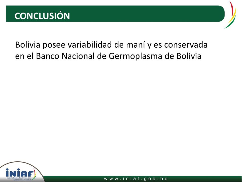 CONCLUSIÓN Bolivia posee variabilidad de maní y es conservada en el Banco Nacional de Germoplasma de Bolivia.