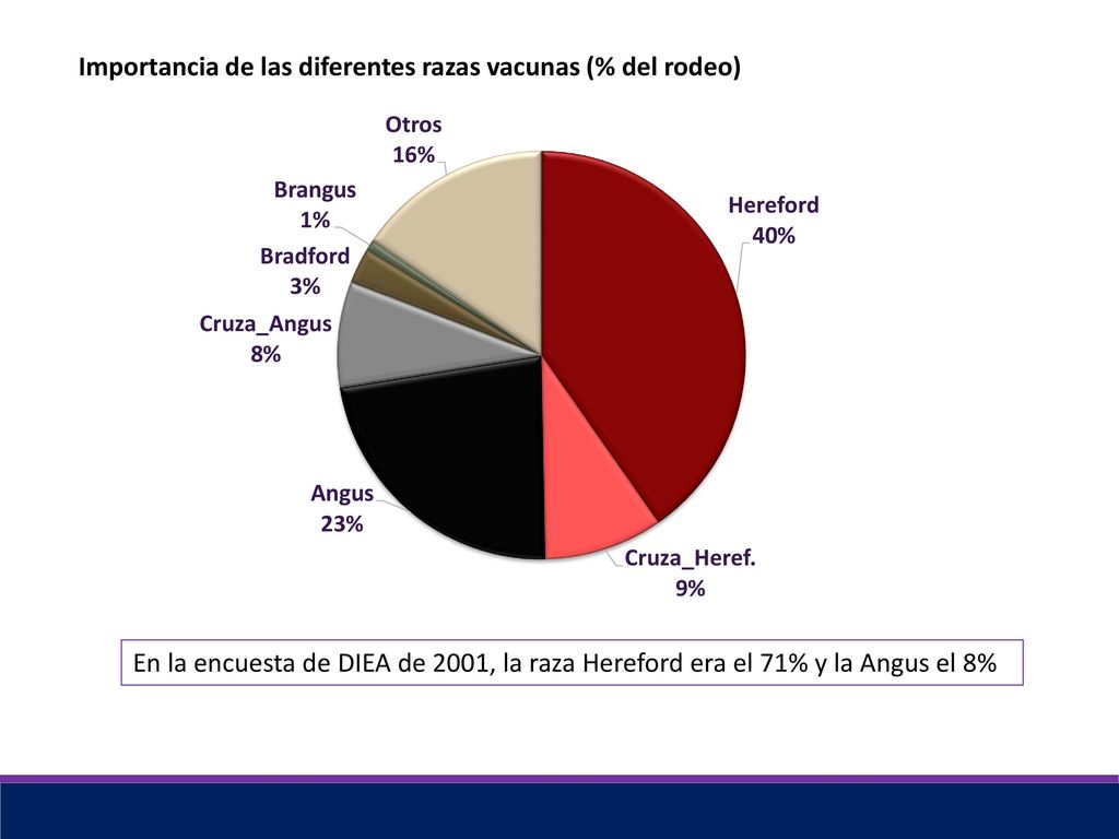 Importancia de las diferentes razas vacunas (% del rodeo)