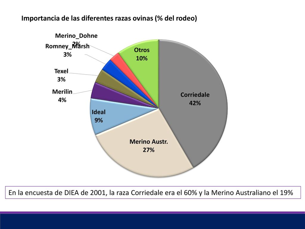 Importancia de las diferentes razas ovinas (% del rodeo)