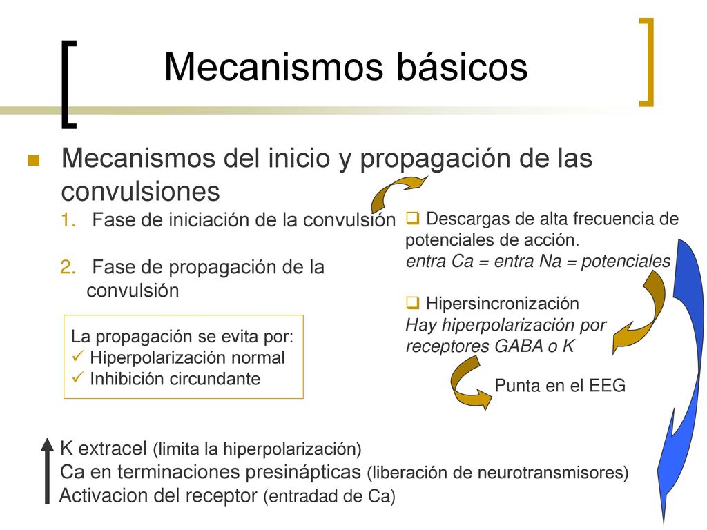 Mecanismos básicos Mecanismos del inicio y propagación de las convulsiones. Fase de iniciación de la convulsión.