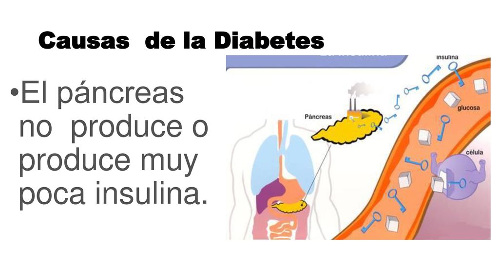 DIABETES. - ppt descargar