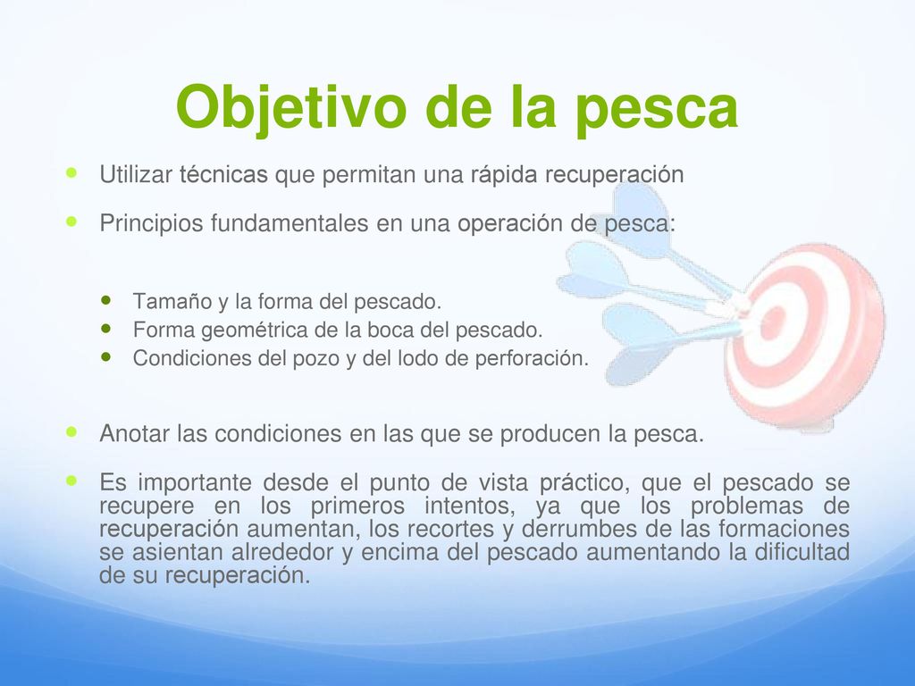 Objetivo de la pesca Utilizar técnicas que permitan una rápida recuperación. Principios fundamentales en una operación de pesca:
