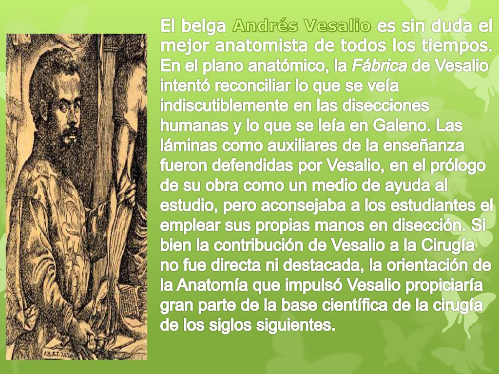 El belga Andrés Vesalio es sin duda el mejor anatomista de todos los tiempos.