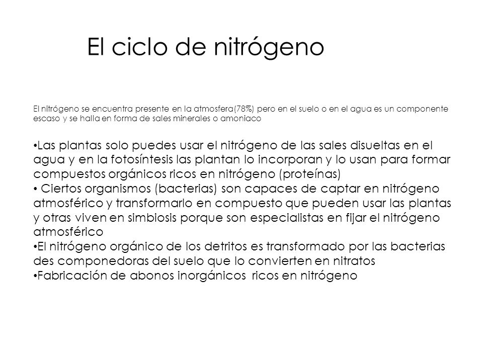 El ciclo de nitrógeno
