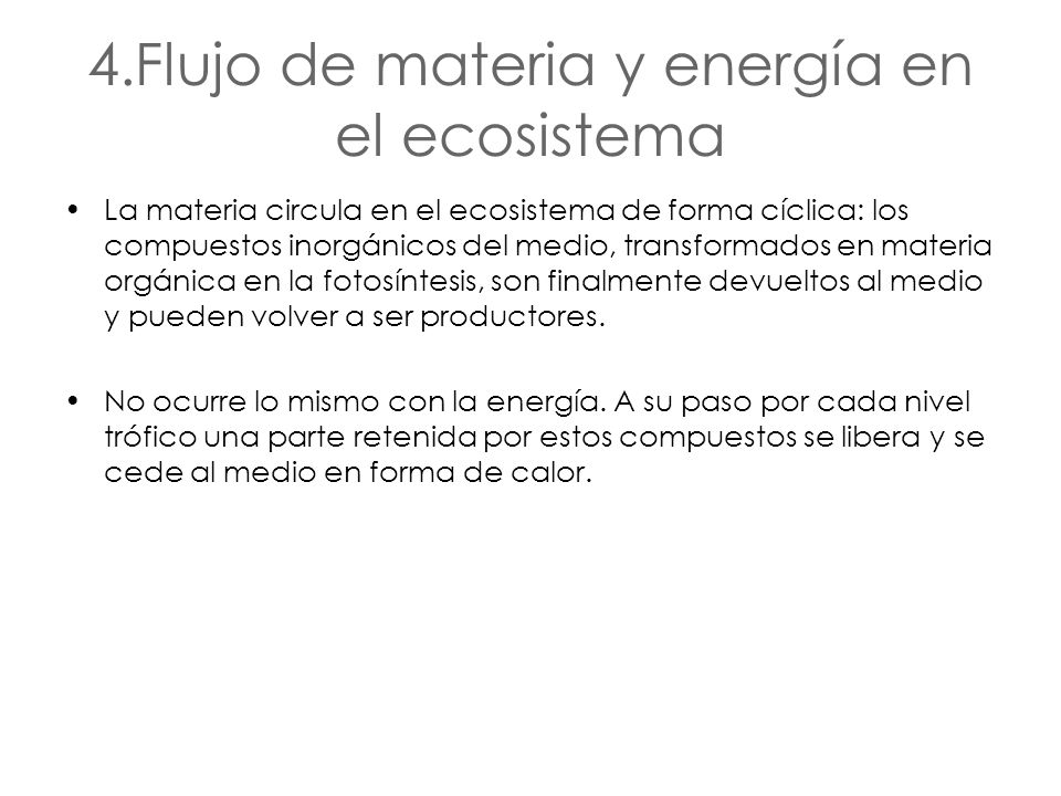 4.Flujo de materia y energía en el ecosistema