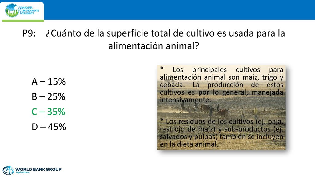 P9: ¿Cuánto de la superficie total de cultivo es usada para la alimentación animal