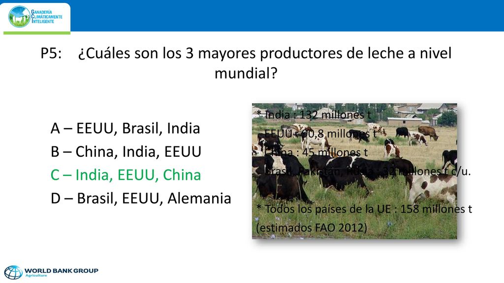 P5: ¿Cuáles son los 3 mayores productores de leche a nivel mundial