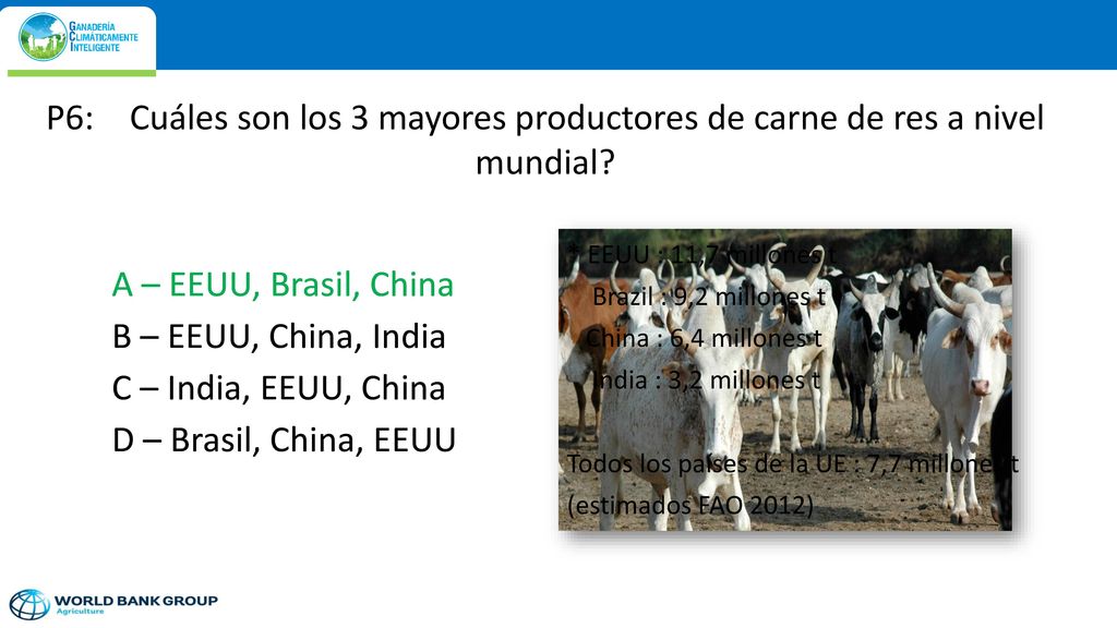P6: Cuáles son los 3 mayores productores de carne de res a nivel mundial