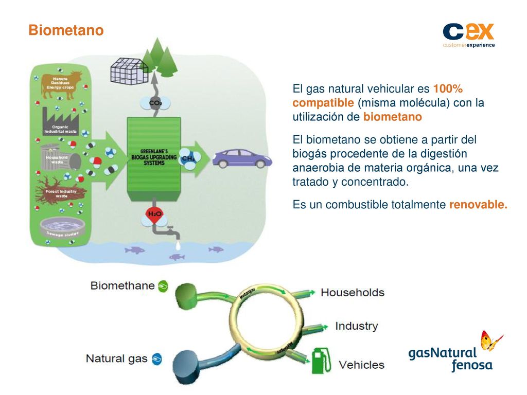 Biometano El gas natural vehicular es 100% compatible (misma molécula) con la utilización de biometano.