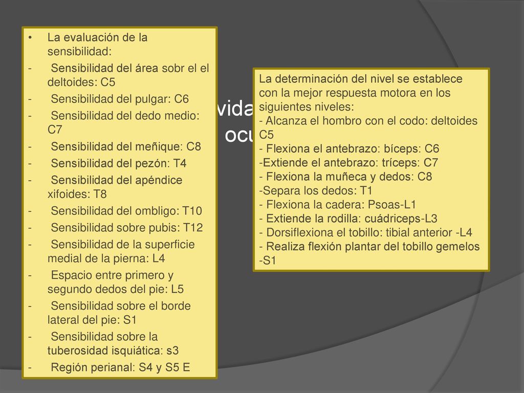 2) Posición y reactividad pupilar y signos de lateralización ocular.