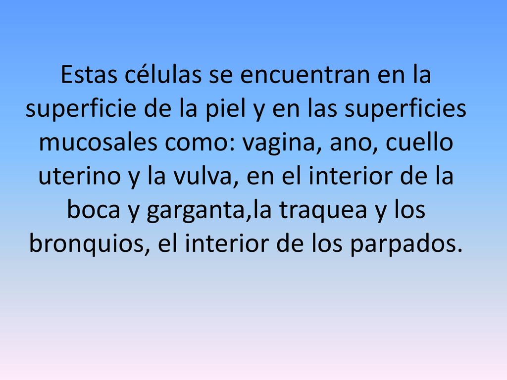 Estas células se encuentran en la superficie de la piel y en las superficies mucosales como: vagina, ano, cuello uterino y la vulva, en el interior de la boca y garganta,la traquea y los bronquios, el interior de los parpados.