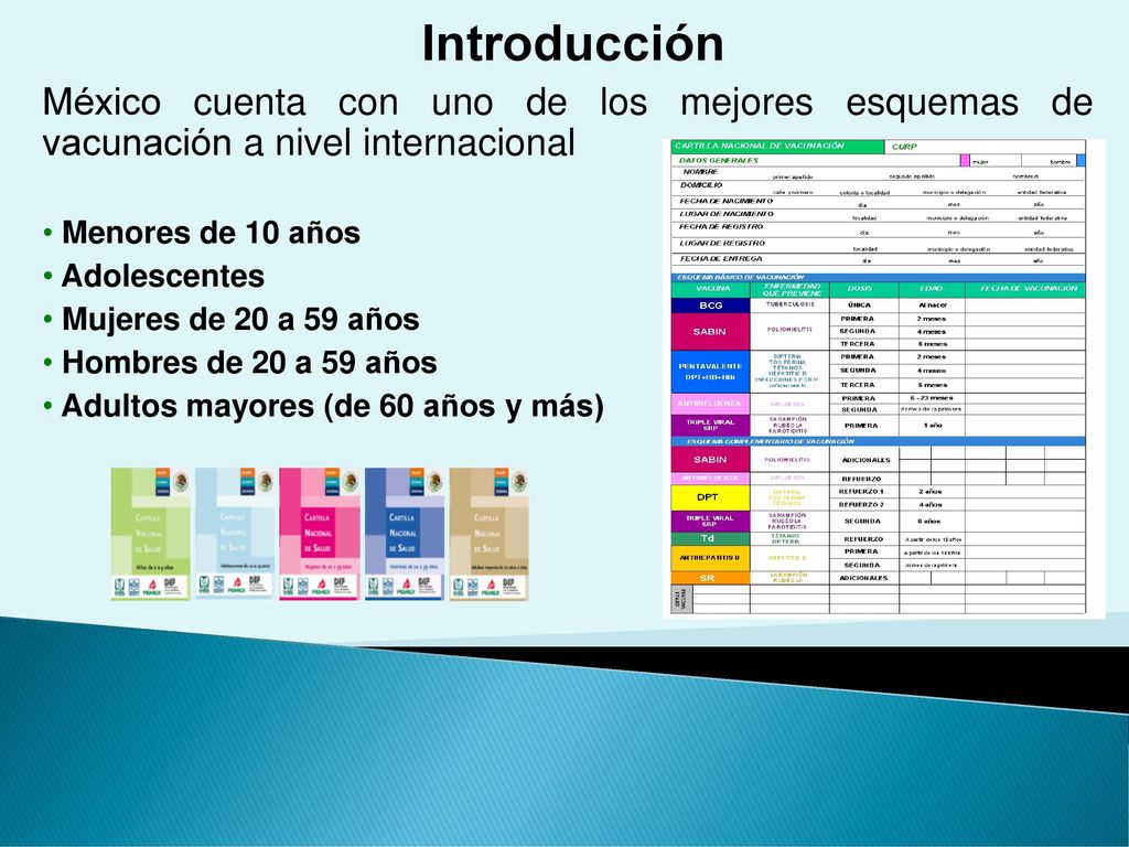 Introducción México cuenta con uno de los mejores esquemas de vacunación a nivel internacional. Menores de 10 años.