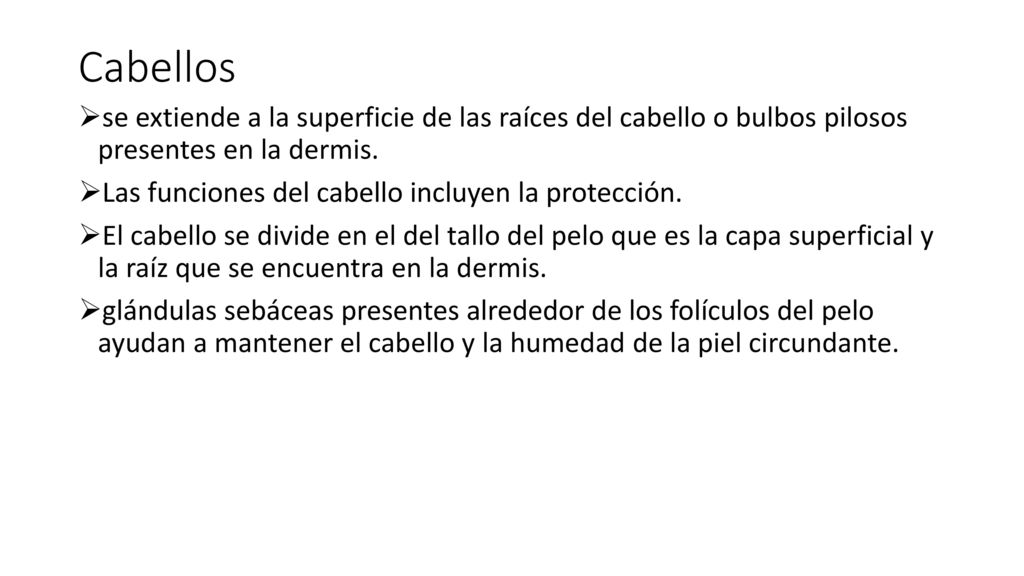 Cabellos se extiende a la superficie de las raíces del cabello o bulbos pilosos presentes en la dermis.