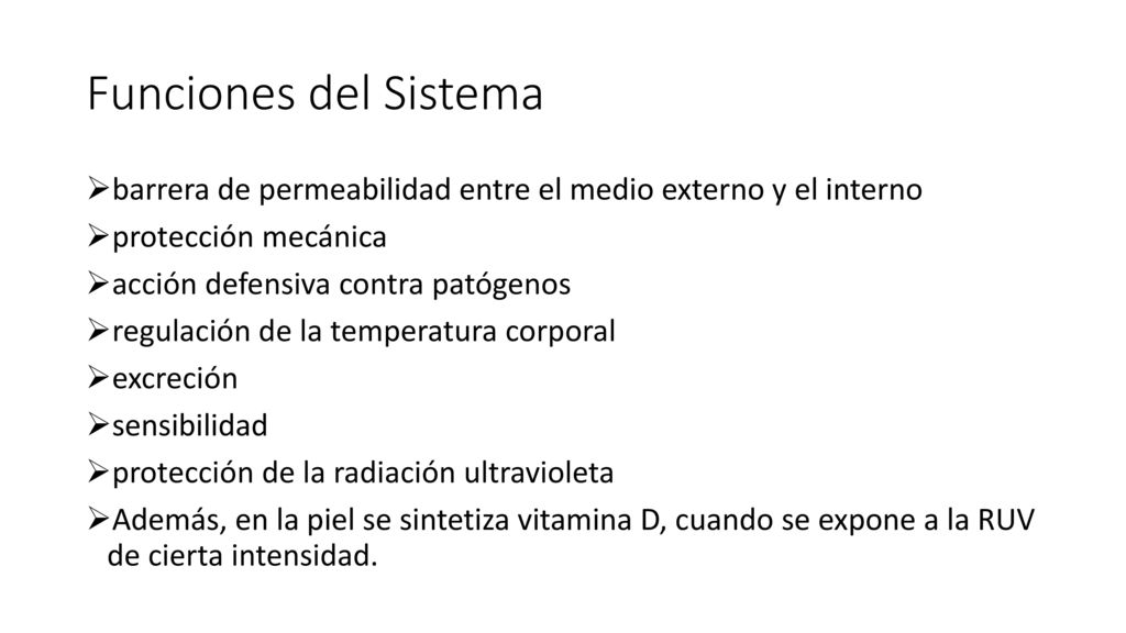 Funciones del Sistema barrera de permeabilidad entre el medio externo y el interno. protección mecánica.