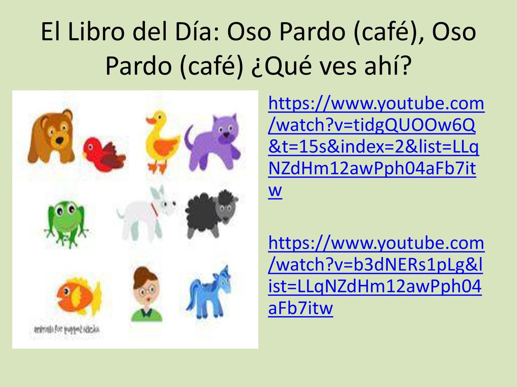 El Libro del Día: Oso Pardo (café), Oso Pardo (café) ¿Qué ves ahí