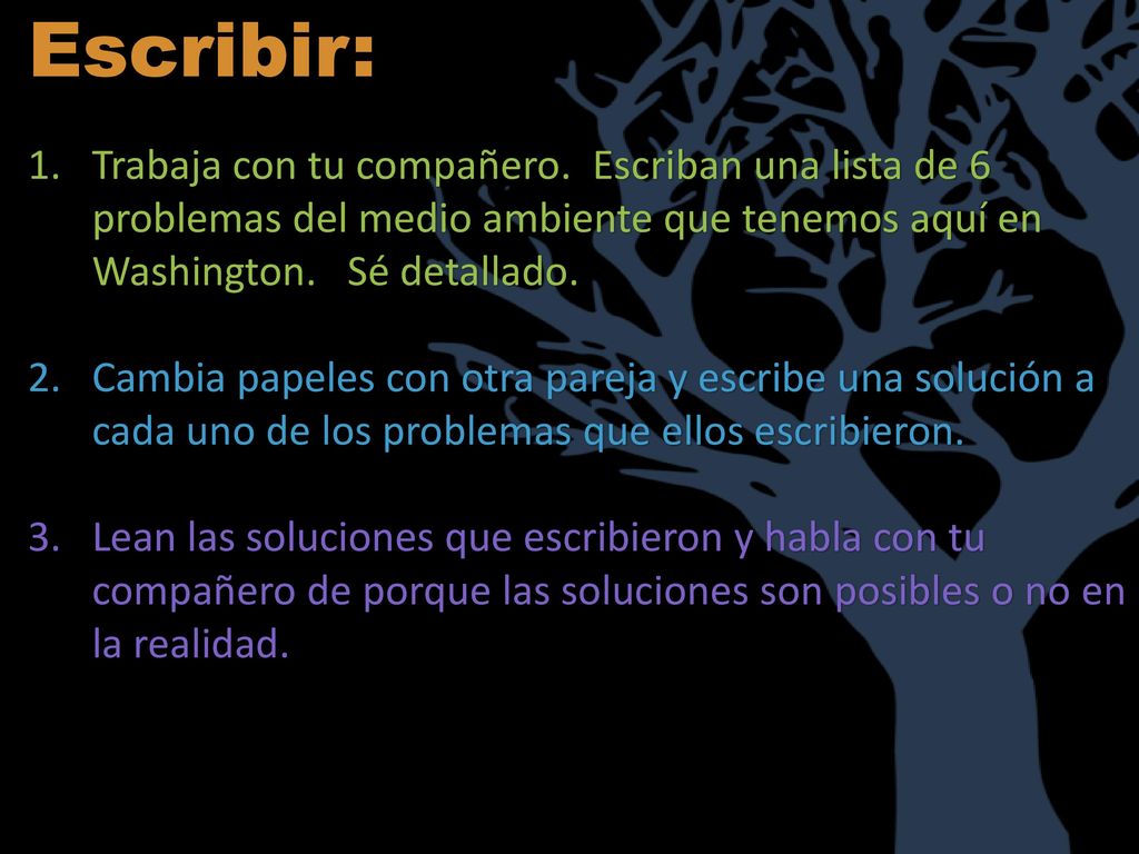 Escribir: Trabaja con tu compañero. Escriban una lista de 6 problemas del medio ambiente que tenemos aquí en Washington. Sé detallado.