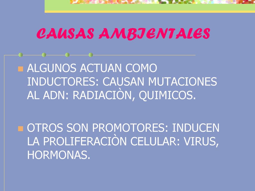 CAUSAS AMBIENTALES ALGUNOS ACTUAN COMO INDUCTORES: CAUSAN MUTACIONES AL ADN: RADIACIÒN, QUIMICOS.