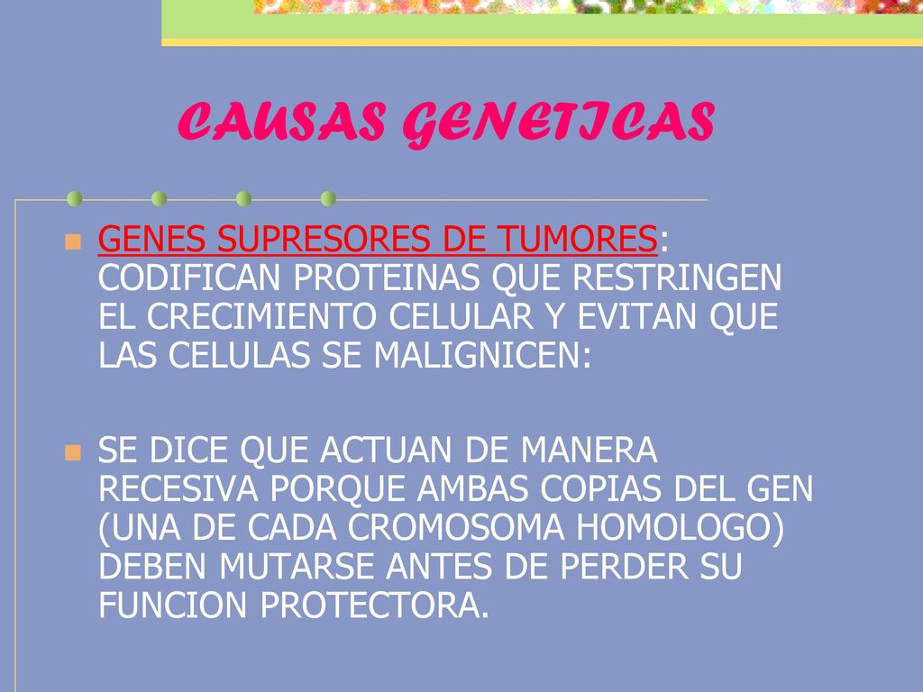 CAUSAS GENETICAS GENES SUPRESORES DE TUMORES: CODIFICAN PROTEINAS QUE RESTRINGEN EL CRECIMIENTO CELULAR Y EVITAN QUE LAS CELULAS SE MALIGNICEN: