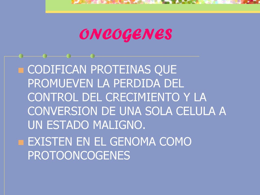 ONCOGENES CODIFICAN PROTEINAS QUE PROMUEVEN LA PERDIDA DEL CONTROL DEL CRECIMIENTO Y LA CONVERSION DE UNA SOLA CELULA A UN ESTADO MALIGNO.
